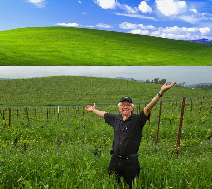 17951989 407964529577664 5000796482688242622 n