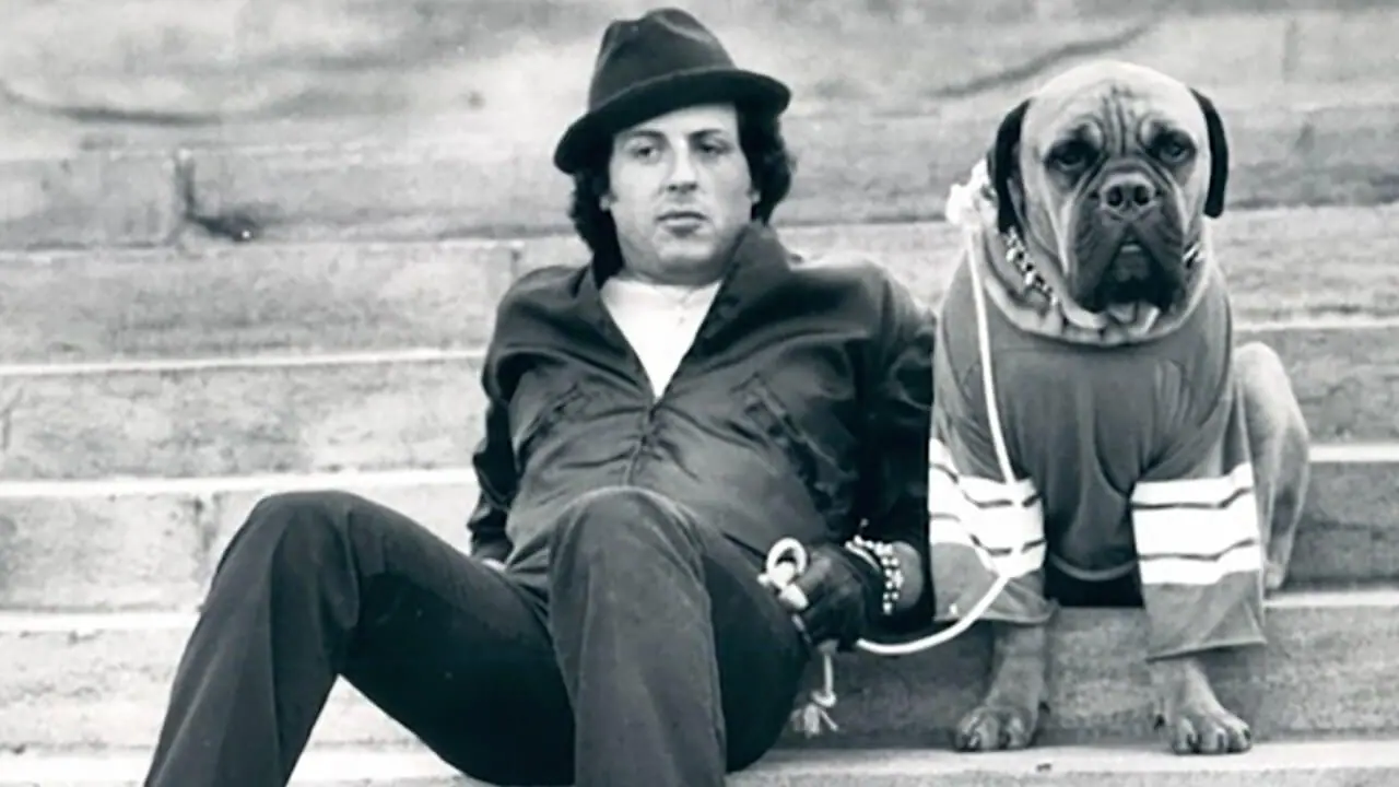 sylvester stallone replaces wifes tattoo with his late dog butkus.jpg